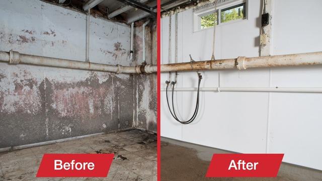 253322 5e23921a3dcc4 before and after basement waterproofing in seattle wa 1 mold