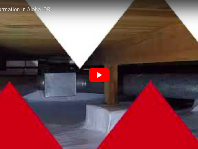 Crawl space transformation in Aloha, OR