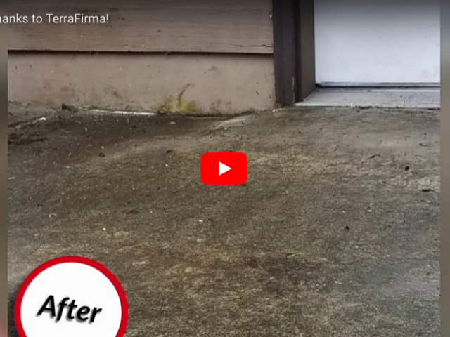 Concrete Repair – Concrete re-leveled thanks to TerraFirma!