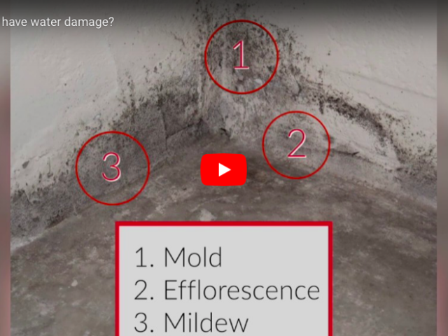 Basement Waterproofing – Does your basement have water damage?