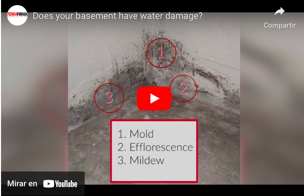 Does your basement have water damage?