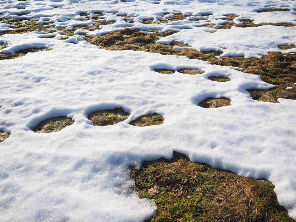 meadow 1024925 1280 Snow Melt