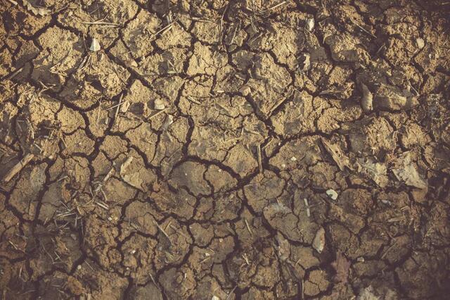 How Drought Affects Your Home’s Foundation