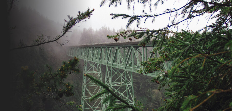 Roseburg bridge 