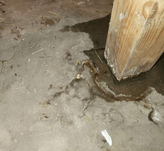 How to Never Worry About Your Crawl Space Again