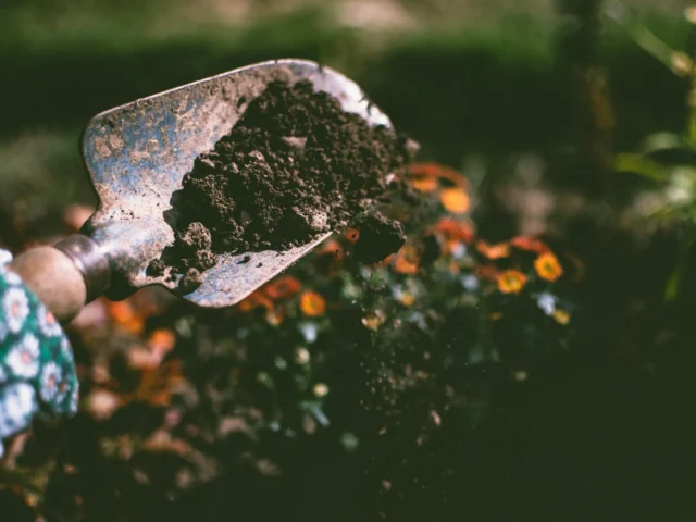 What is Expansive Soil and How Does it Affect Your Home?