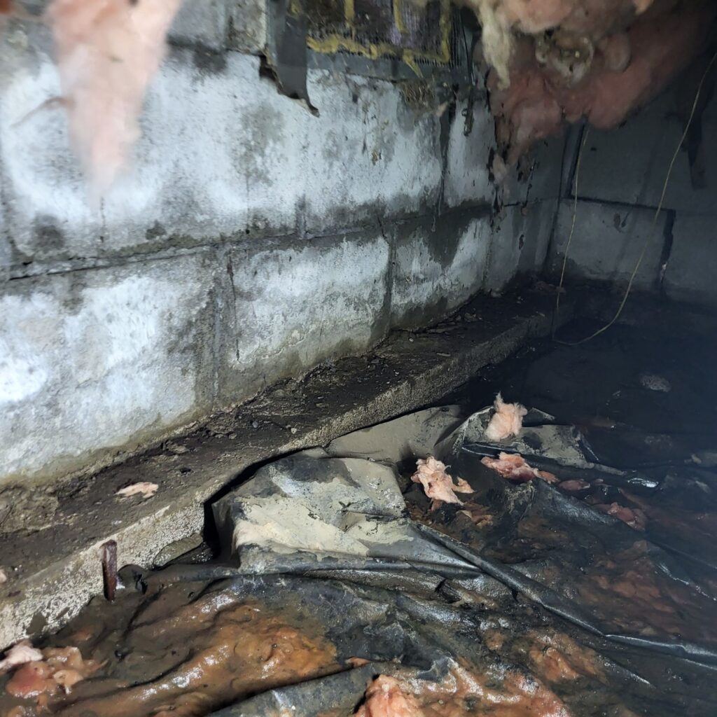 wet damp crawlspace worry