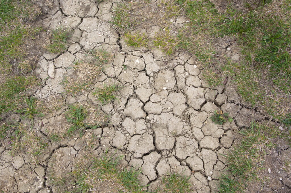 cracked expansive soil soil