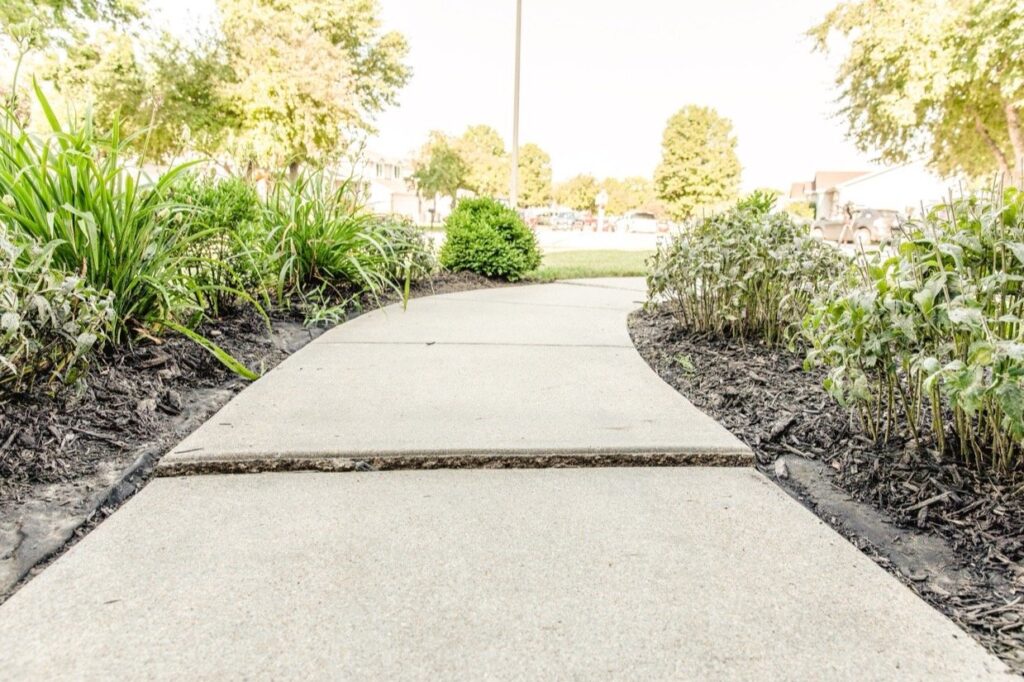 a walkway with plants and bushes