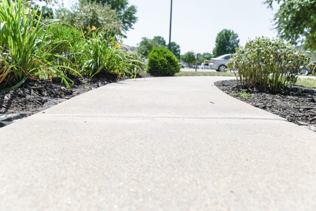 a sidewalk with plants and bushes