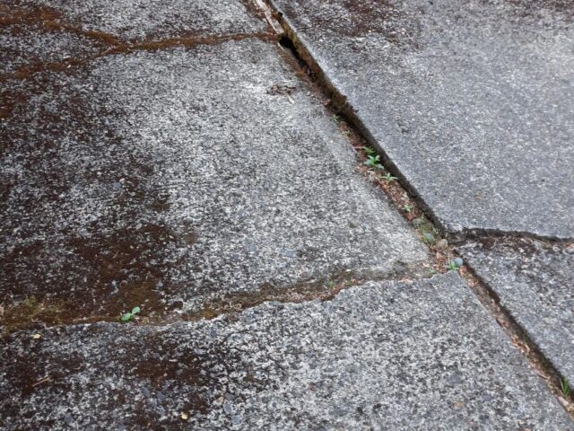 Concrete Repair in Portland, OR