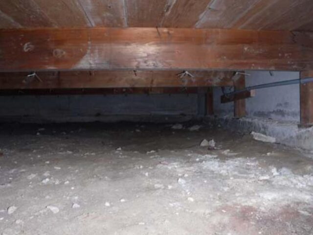 Crawl Space Encapsulation in Issaquah, WA