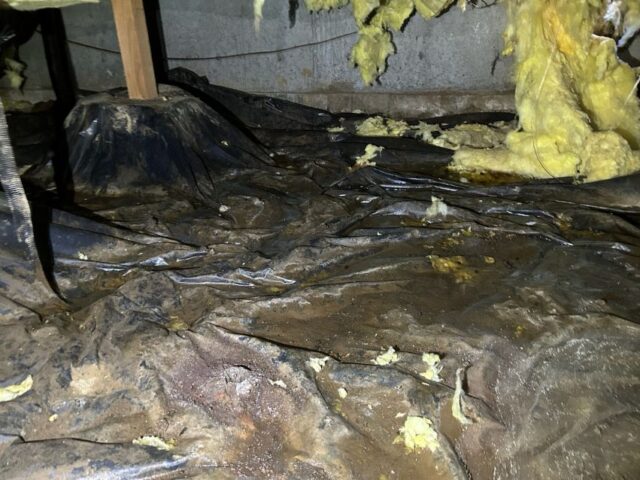 Reasons To Hire Professionals for Crawl Space Encapsulation