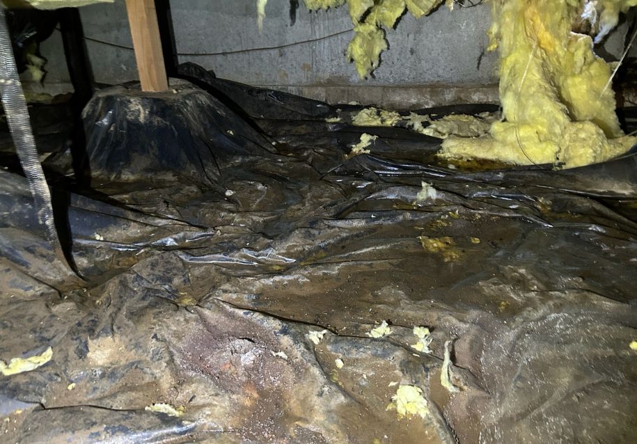 Reasons To Hire Professionals for Crawl Space Encapsulation