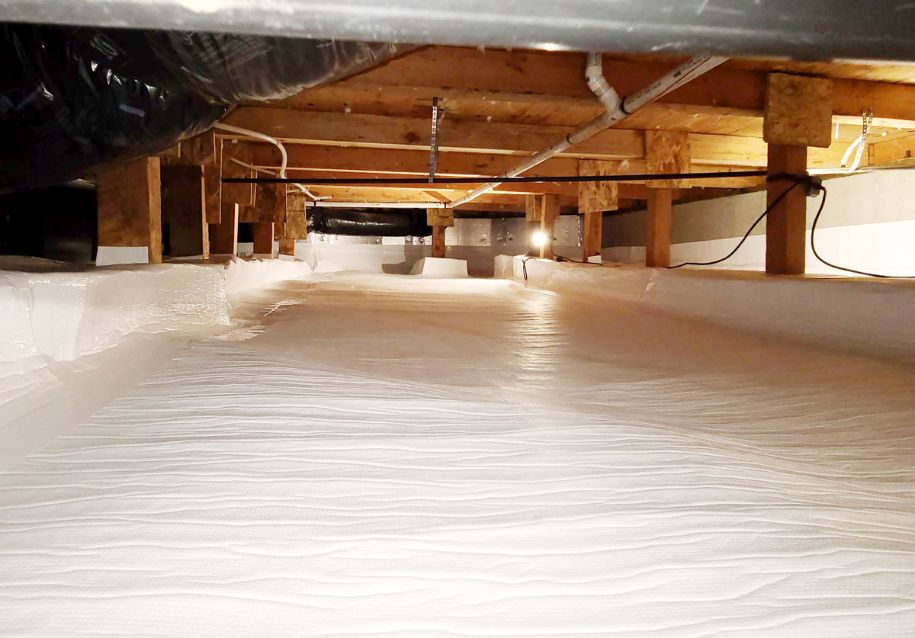 Reasons To Hire Professionals for Crawl Space Encapsulation