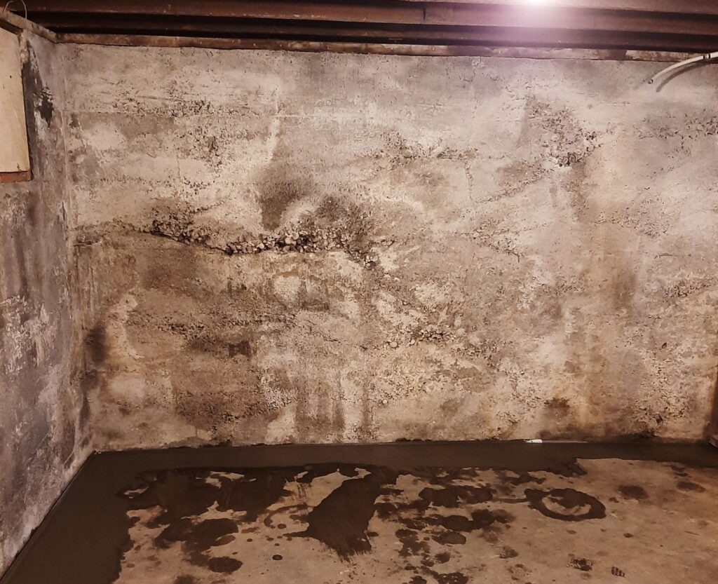 Wet Basement Wall 1 e1723846343656 Protect