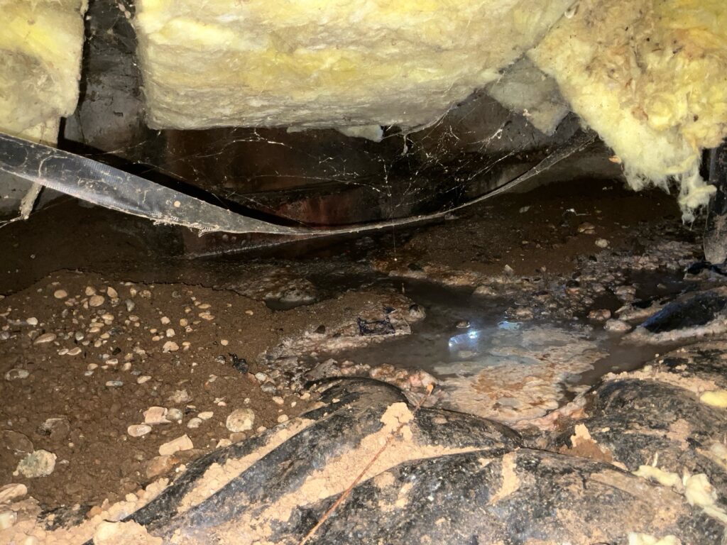 signs of wet crawl space Protect