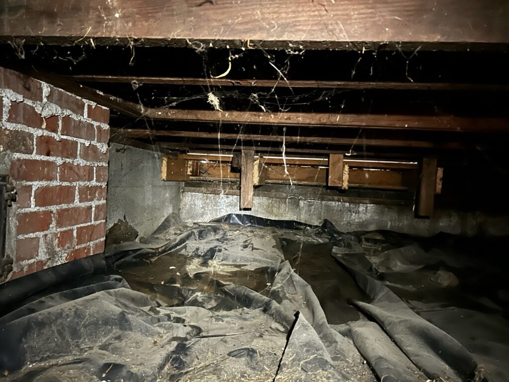 wet crawl space Crawl