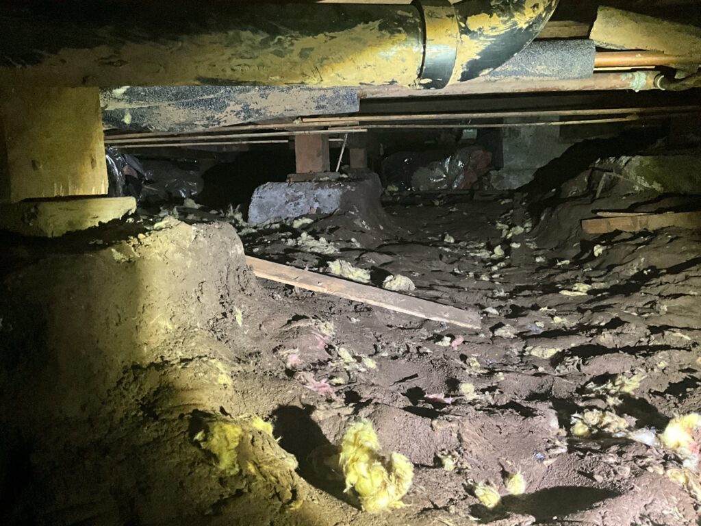 CrawlSpace Musty Mold basement