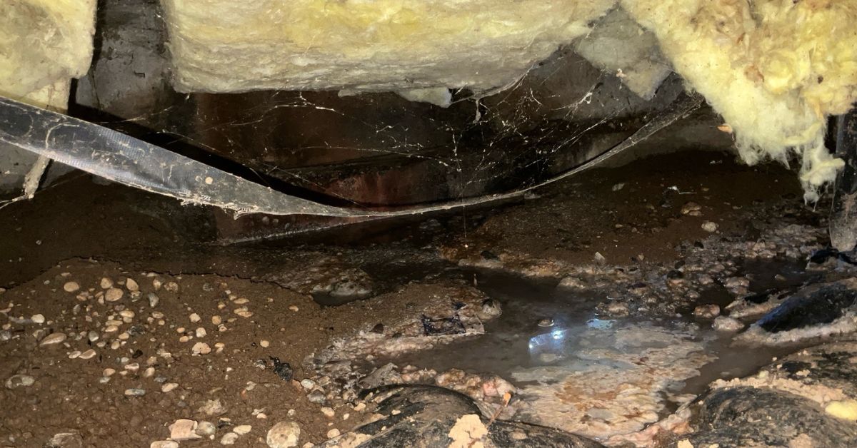 How To Prevent Mold From Forming in Your Crawl Space