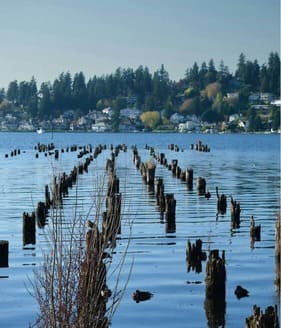 tf Seattle Juanita Bay Foundation Repair mobile Seattle