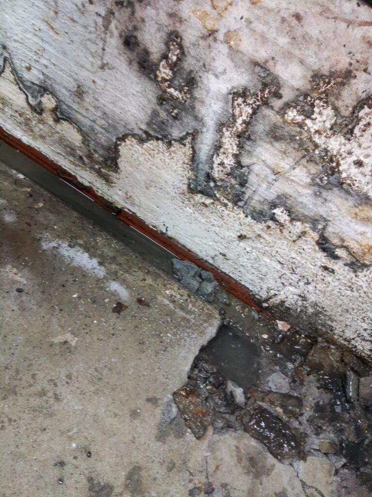 Efflorescence water damage basement crawl space