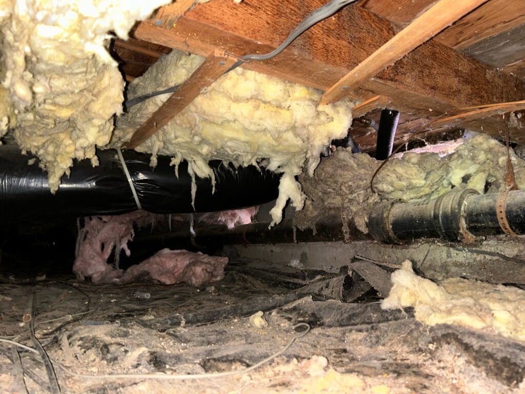 Crawl Space Access Doors & Wells: Protect Your Home From Moisture & Pests