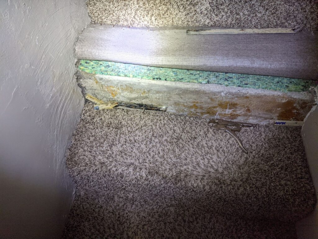 Should You Be Concerned About Damp Spots on Your Basement Carpet?